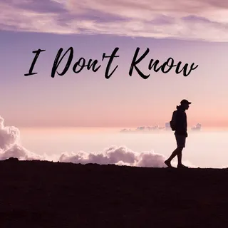Cover art for I Don't Know